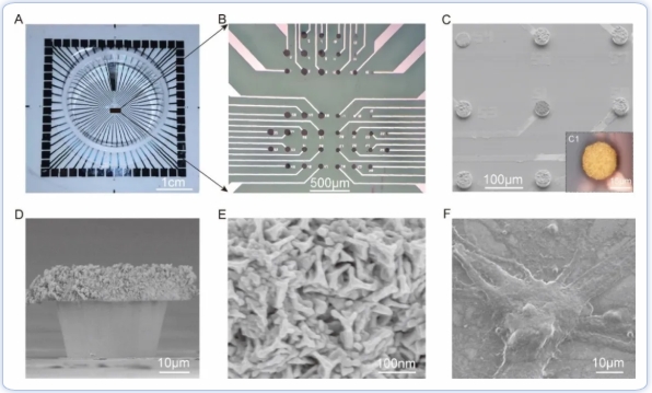 屏幕截圖_19-11-2025_11503_www.izmx.cn.jpeg 屏幕截圖_19-11-2025_11503_www.izmx.cn.jpeg